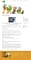 WEB DESIGN 21 Acorns Playschool Greystones 900
